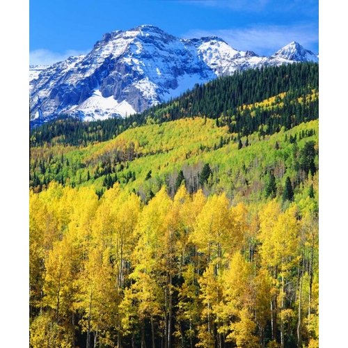 Colorado, Rocky Mountains, Autumn in the Rockies